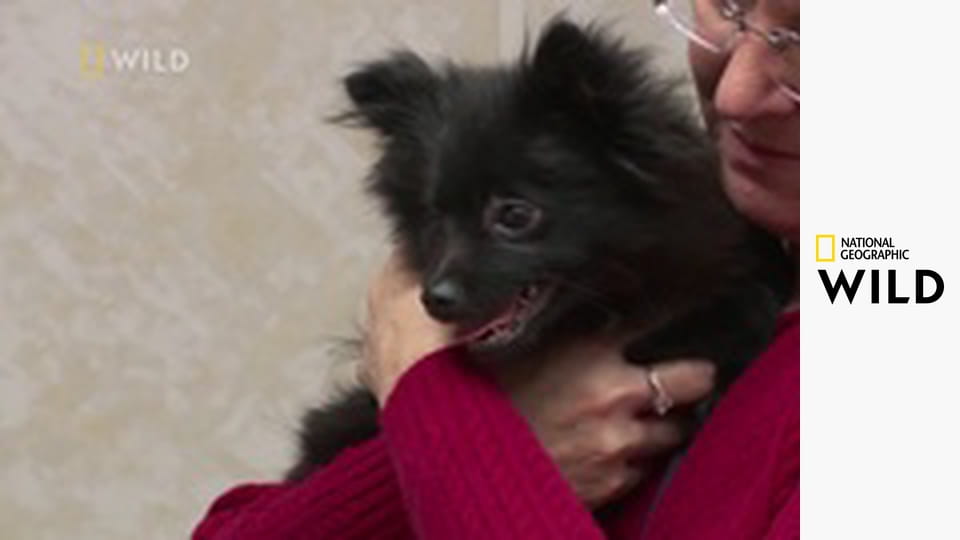 Niezwykły dr Pol S15E5 - Pogoda to nie przeszkoda