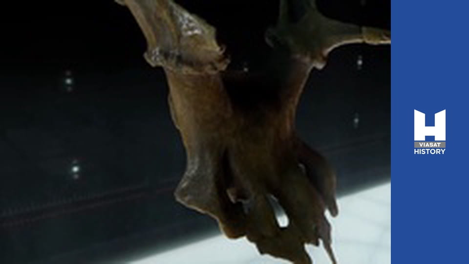 Strangest Things - The Ice Age Shaman, The Bronze Age Sky and The Steampunk Light Bulb