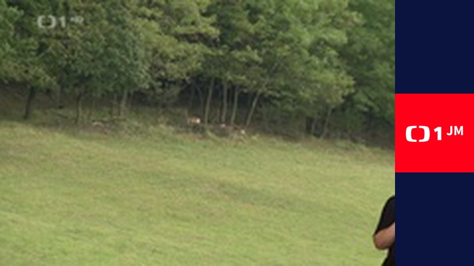 Události v regionech