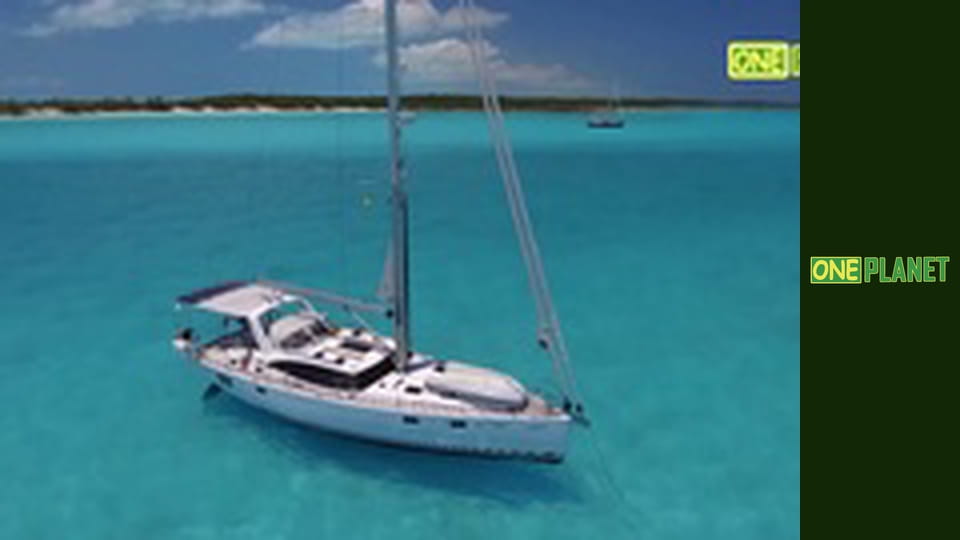 Дальние берега, 2 сезон, 5 эп.