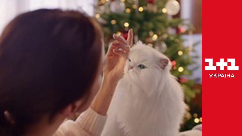 Ключі від правди E7