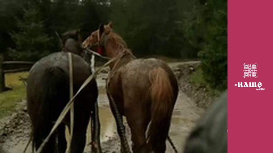 Галицький шлягер.