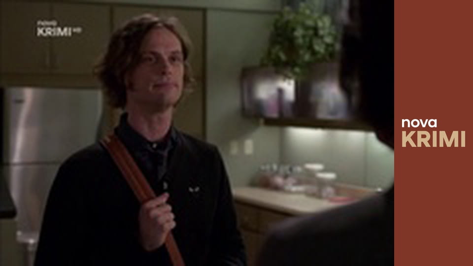 Myšlenky zločince S11E22