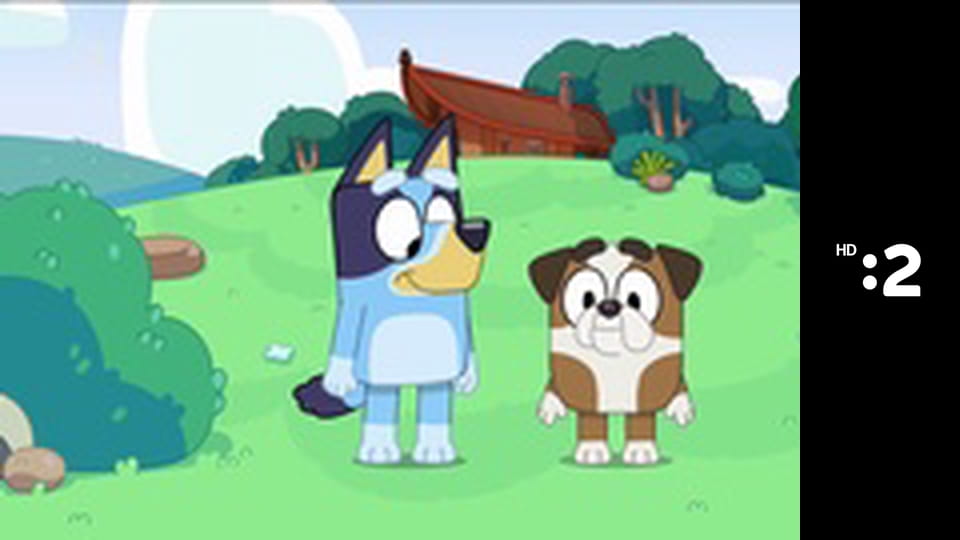 Pa a Pi E33 - Priateľ močiarov a kačíc