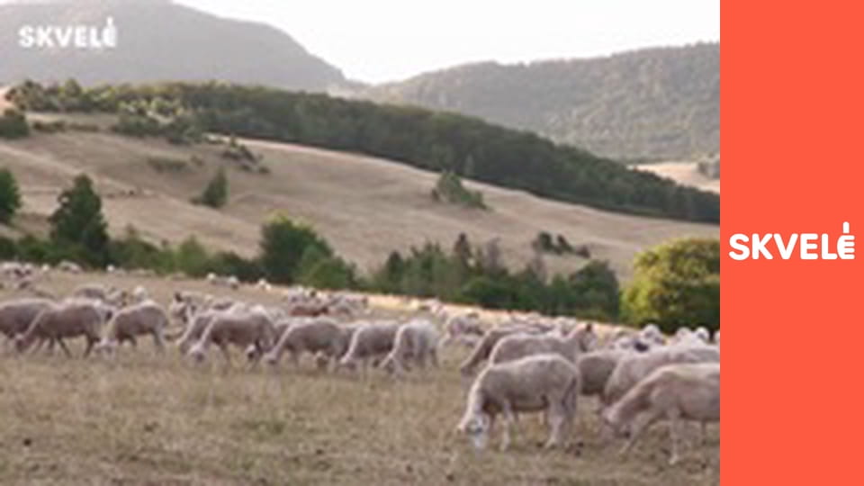 V Kuchyni - Tradičný slovenský salaš