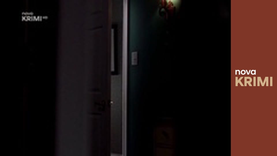 Kriminálka Las Vegas S2E19 - Sledovaný