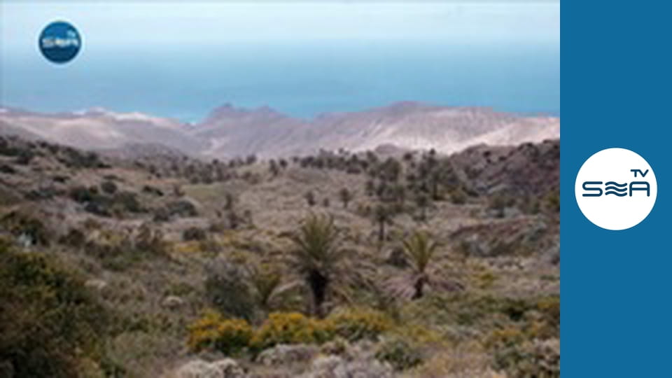 Island Stories - La Gomera