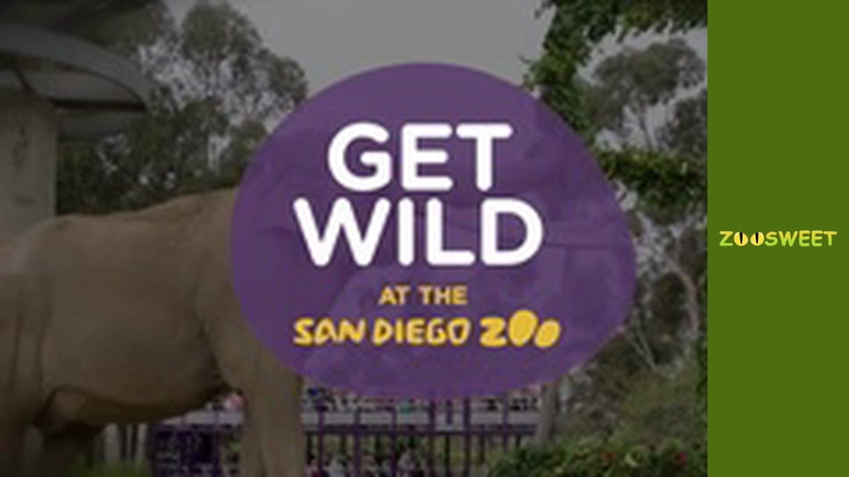Get Wild at the San Diego - episode 13