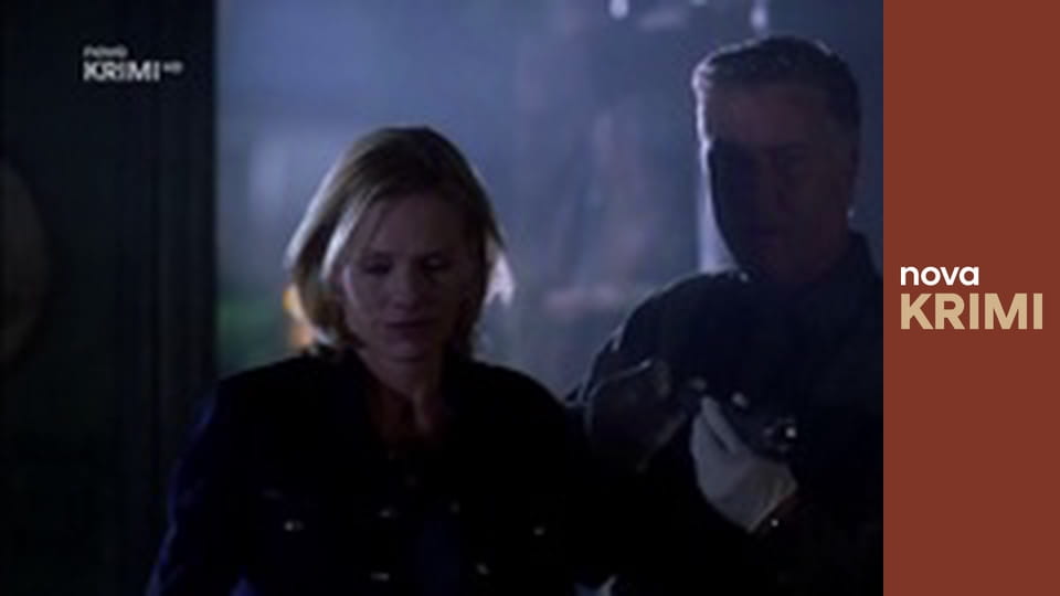 Kriminálka Las Vegas S2E20 - Kočičí dáma