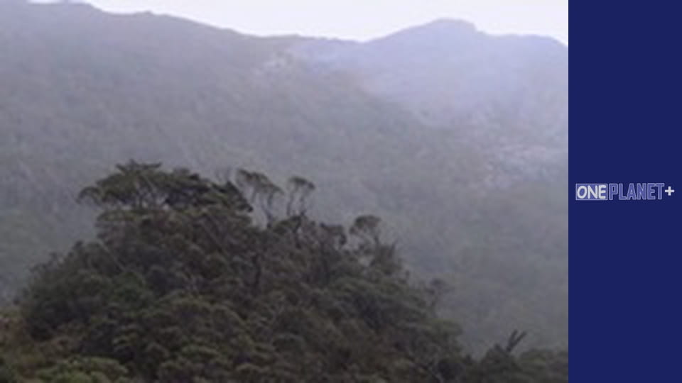 У пошуках знань. - серия 26