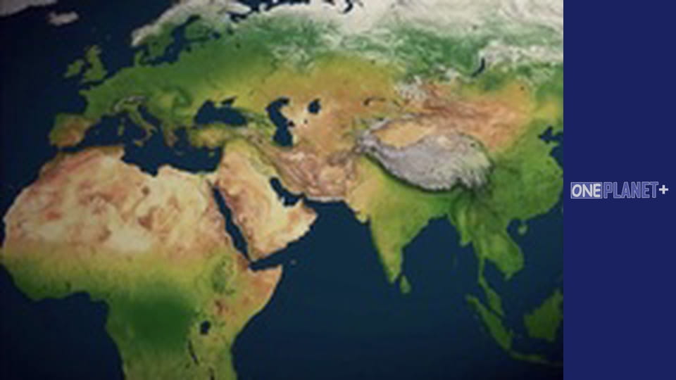 Путешествие в Прошлое, Выпуск 6