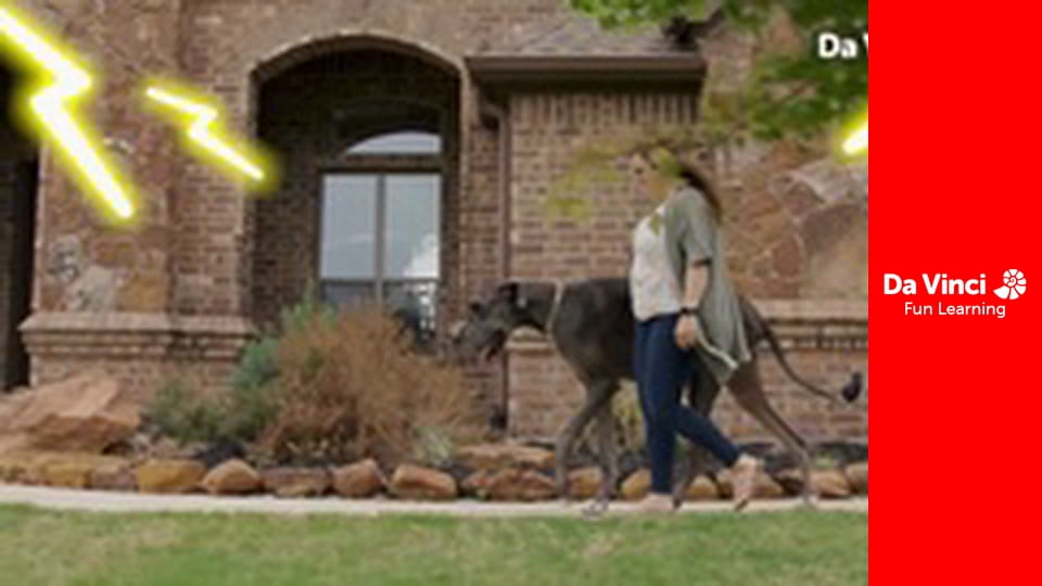 The One Thing - Veranica Tchalabaeva: Winning Poodle Squad