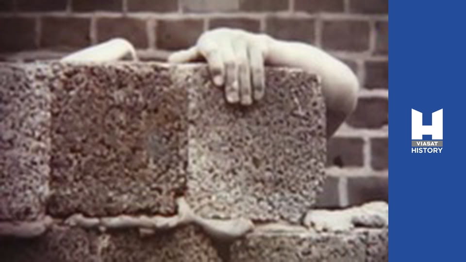 Історія у всій красі - Сезон 3 - Холодна війна