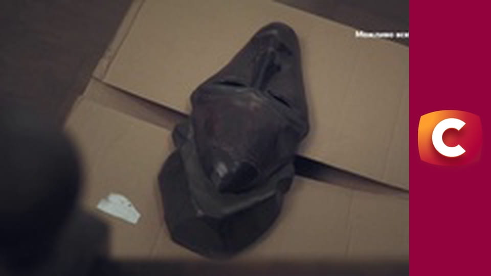 "Сліпа". Зв'язані долі.