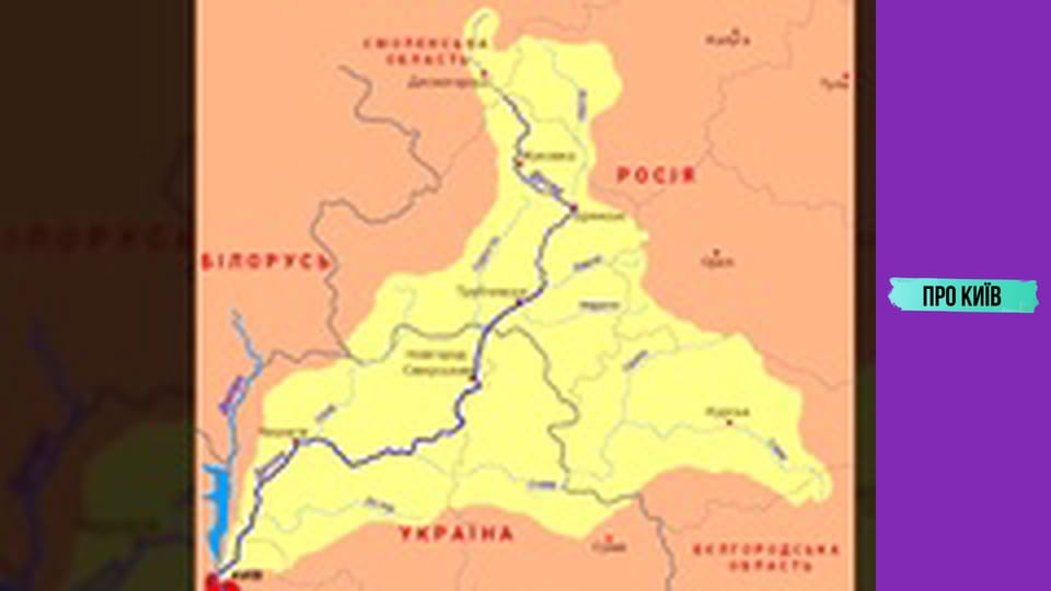 Екологічна катастрофа на Десні. Чи є загроза для Києва?