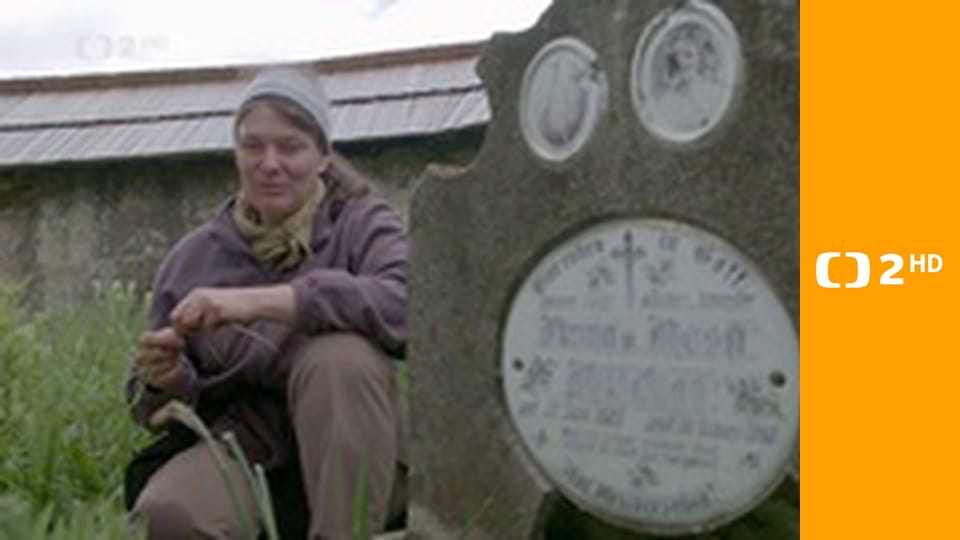 Historie.cs - Římský král ze Špilberku