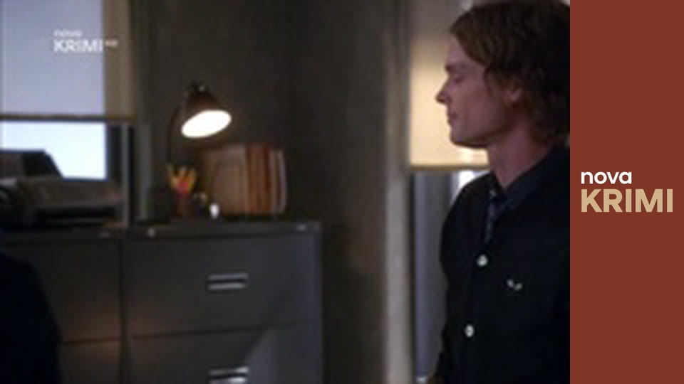 Myšlenky zločince S11E22