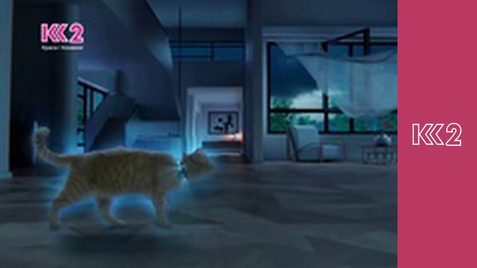 Сімейний суд E159 - Петро