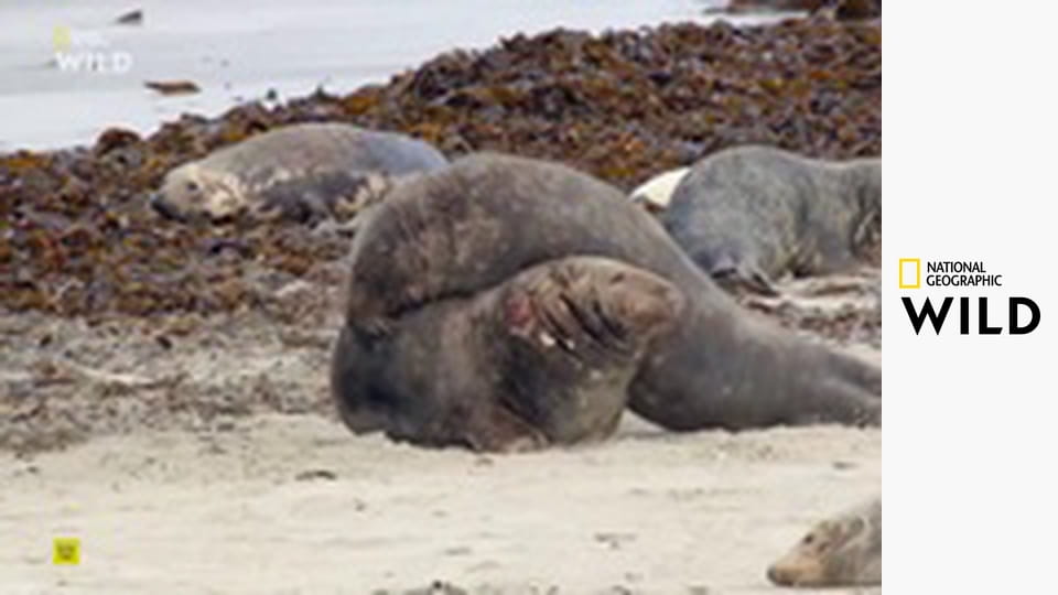 Tajemná krása Evropy S1E1 - Německo