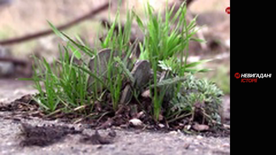 Невигадані історії. Східний фронт.