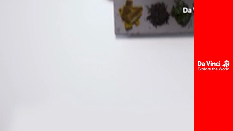 For Our Planet - Plants From the Sea