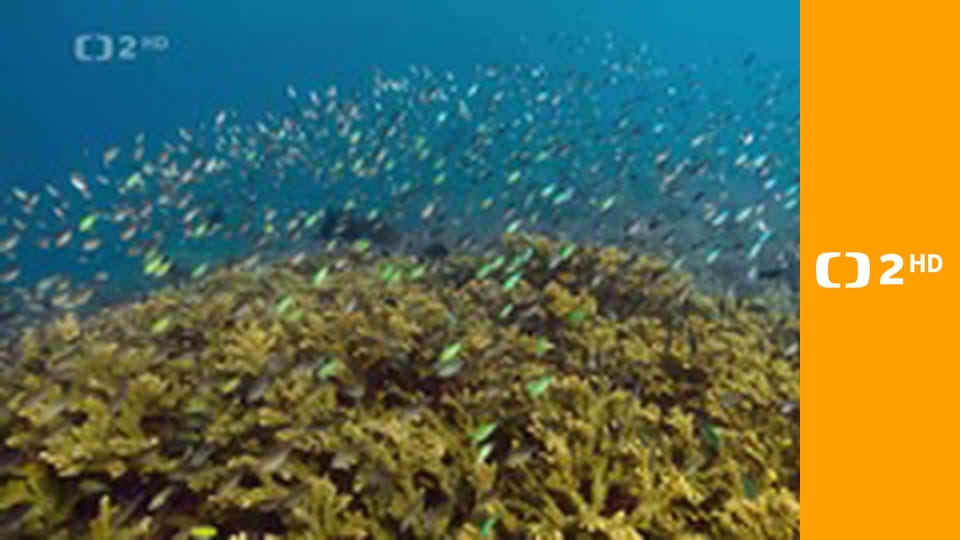 Asie E1 - Pod mořskou hladinou