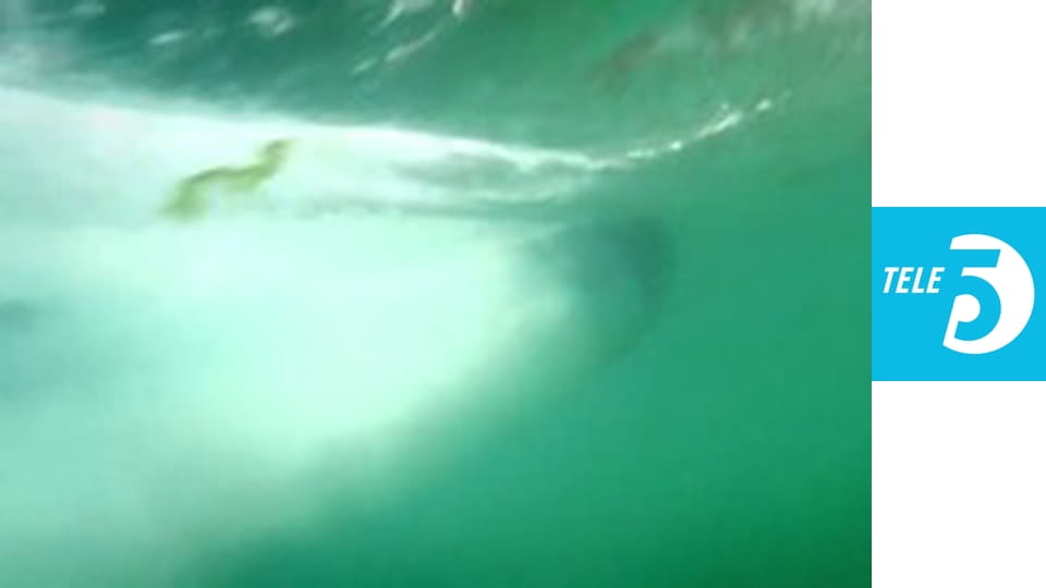 Niebezpieczne plaże Nowej Zelandii S1E5