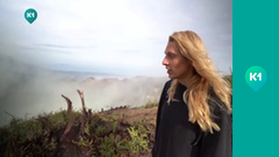 "Пригоди з Яною Метьолкіною".