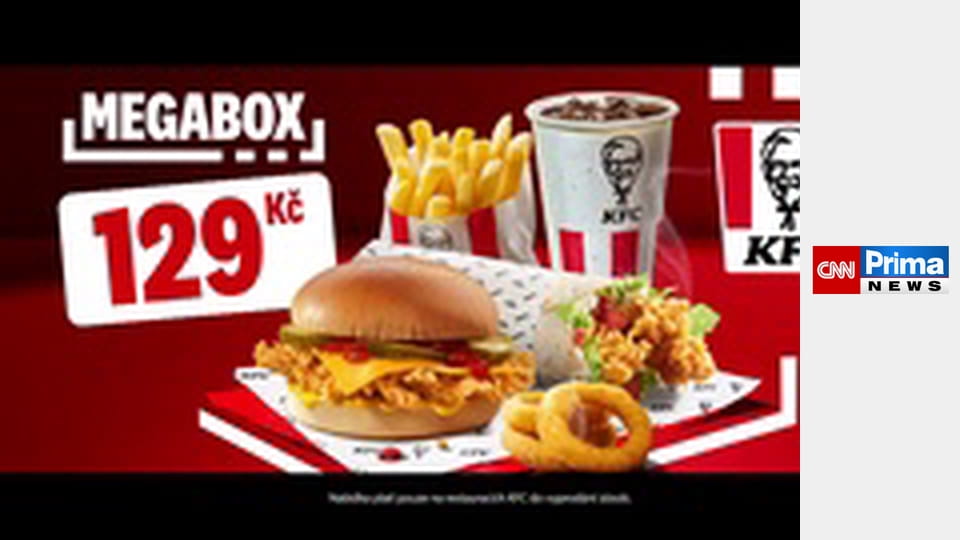 Estetika bez cenzury