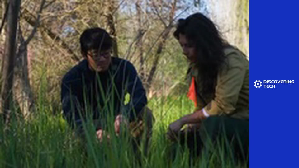 VOA TEK: Butterflies