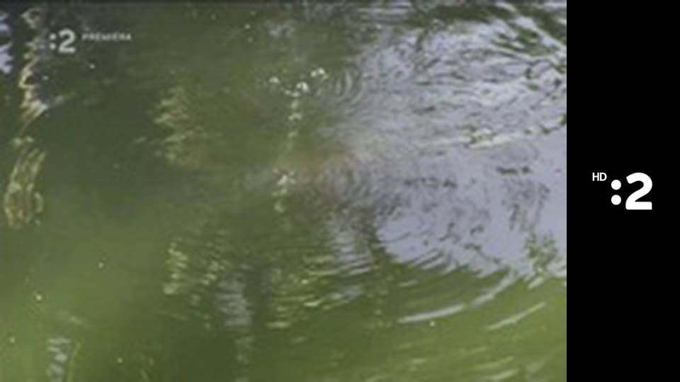 Byť tak zvieratkom E18 - Slon