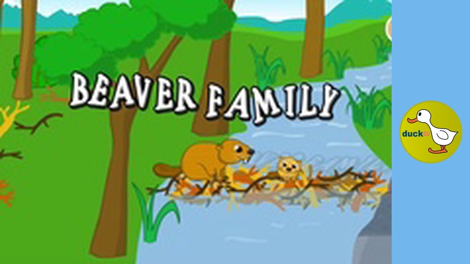 Dopravné prostriedky