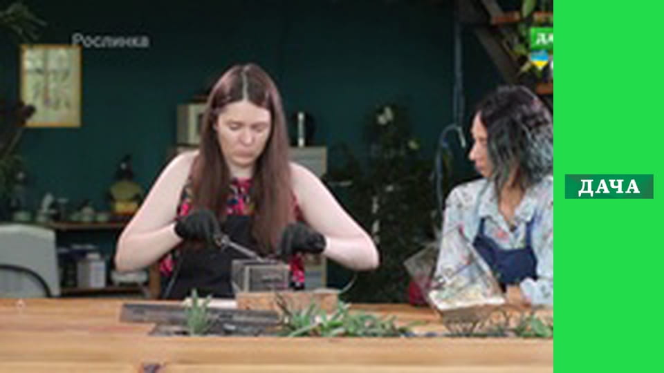 Садові лайфи