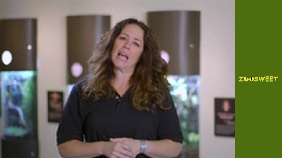 Дикі тварини Сан-Дієго - серія 4