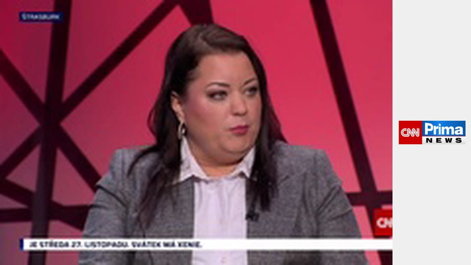 České zájmy v Evropě