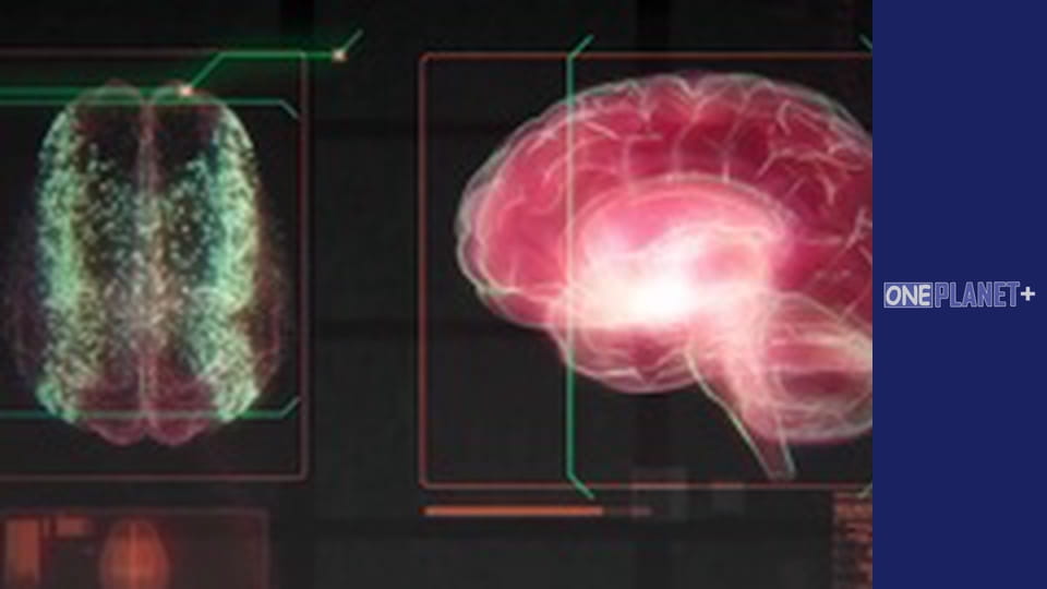 Your fantastic mind, Season 1, Episode 5