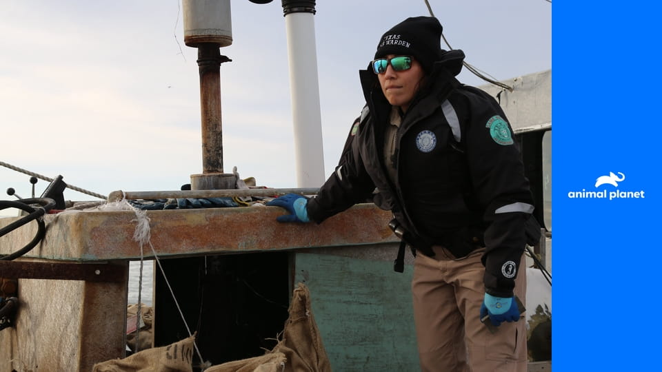 Правосудие Техаса S4E15 - Олени и стрелы