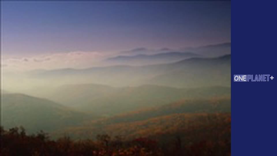 Варто Побувати. - серия 14