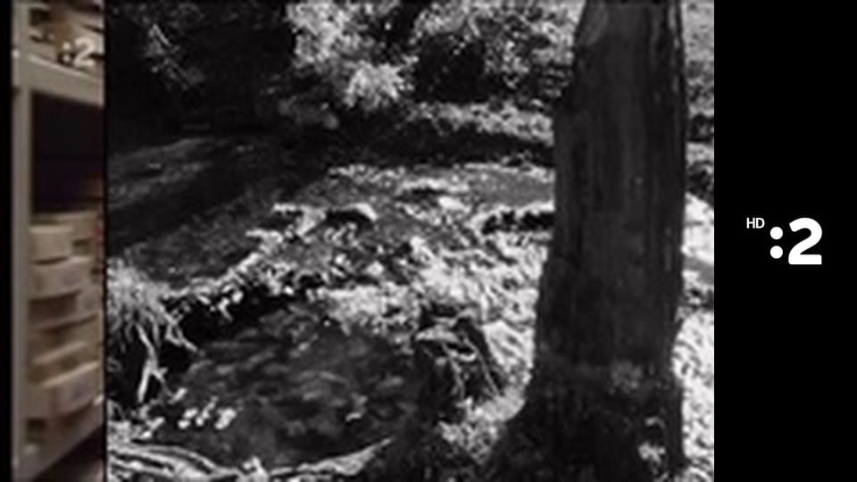 Retro noviny E16 - Retro noviny č.18/25