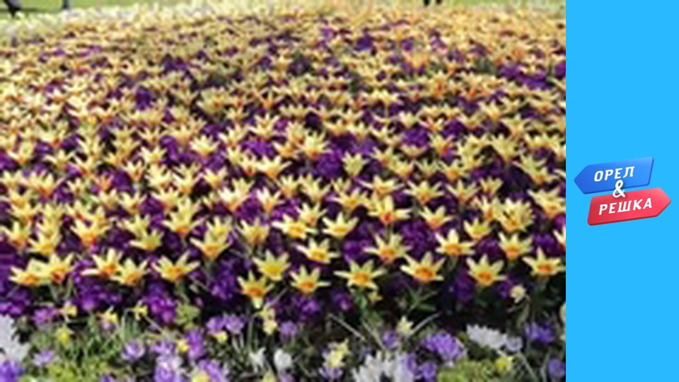 Шоппинг 4 сезон - выпуск 13