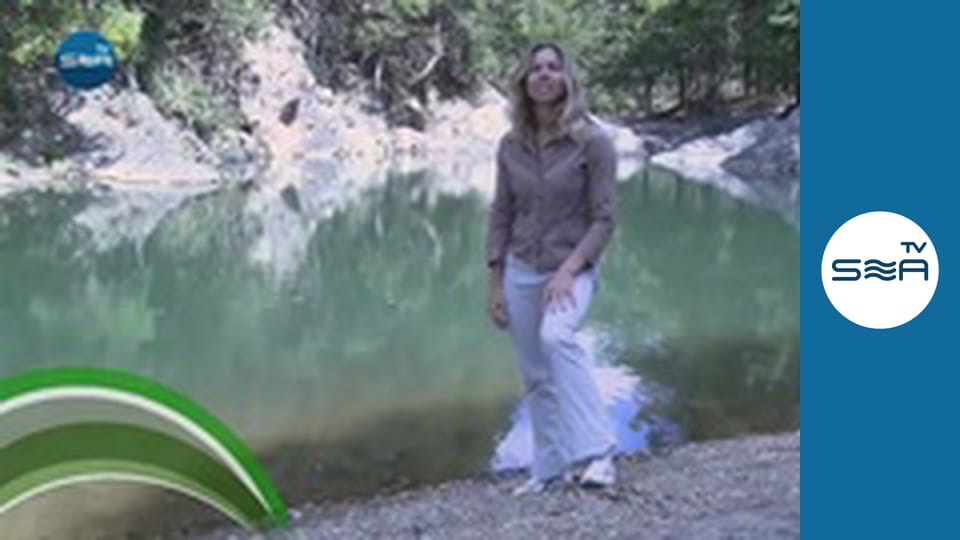 Дикі дали - Квінсленд