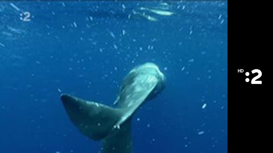 Zázračný miniateliér E90 - Spomienka na Grécko