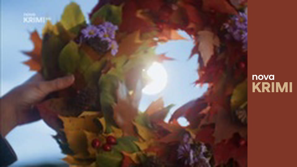 Dr. House S2E13 - Modelka