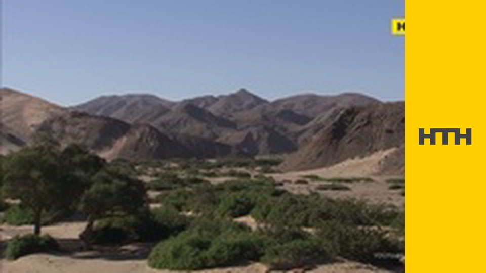 "Випадковий свідок".