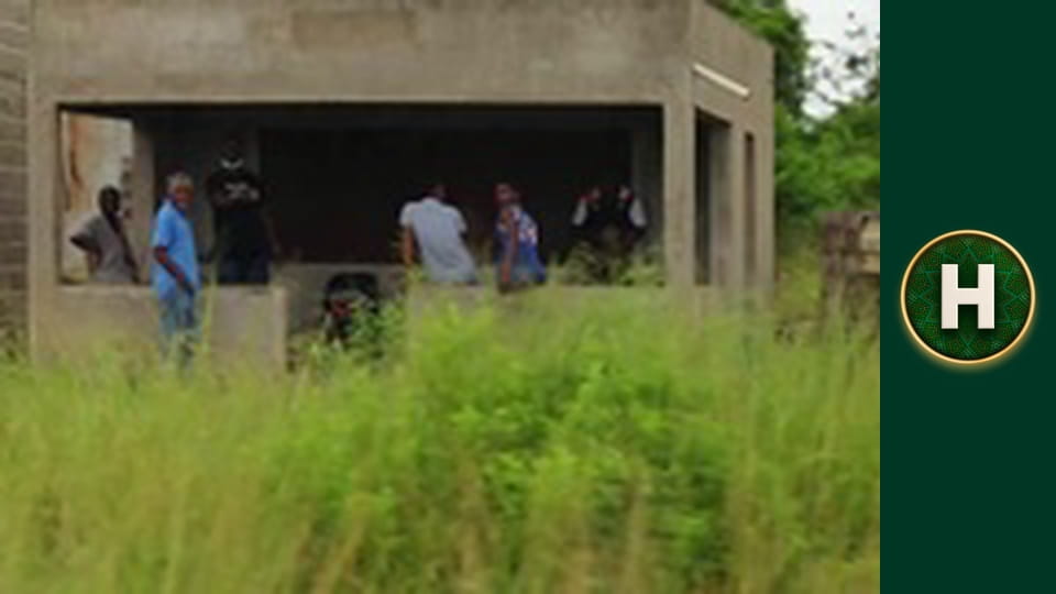 Орел і Решка. Земляни