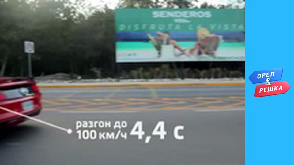 Морской сезон – Плайя-дель-Кармен, Мексика