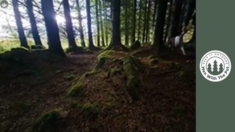 SALMON cooked and smoked over fire