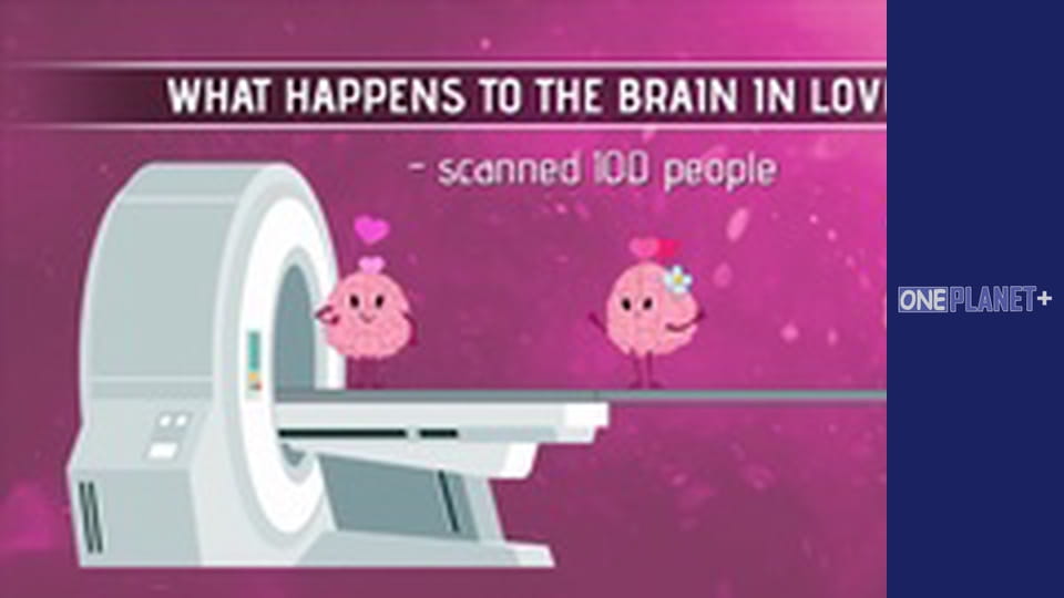 Your fantastic mind, Season 1, Episode 6