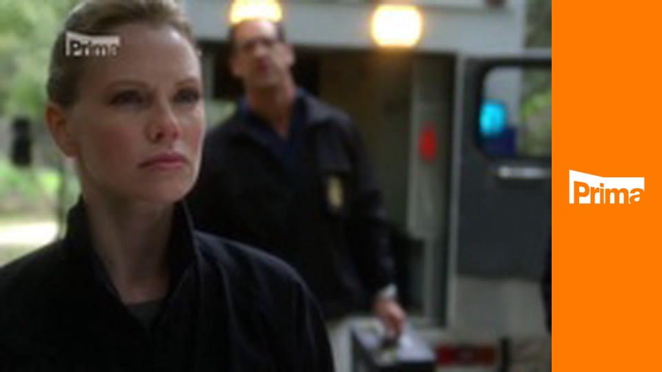 Námořní vyšetřovací služba S8E23 - Labutí píseň