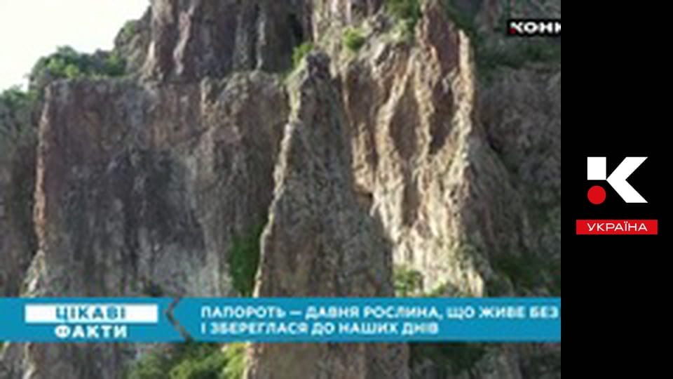 Цікаві факти.